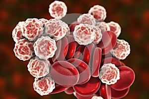 Blood cells, 3D illustration photo