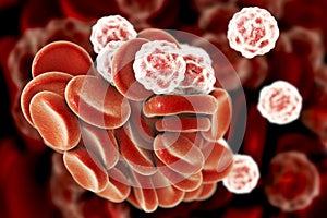 Blood cells, 3D illustration photo