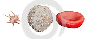 Blood cells erythrocyte, lymphocyte, thrombocyte, 3D rendering photo