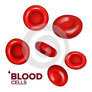 Blood Cells Erythrocytes In Vein Or Aorta Vector photo