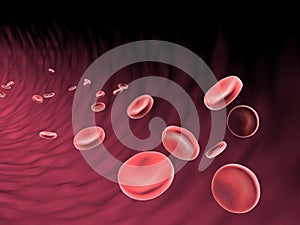 Blood cells flowing in vein