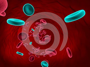 Blood Cells Flowing