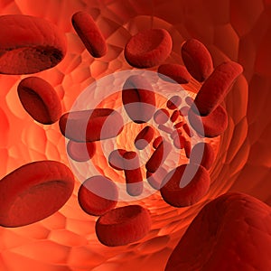 Blood cells flying through arteries.  Circulating hemoglobin blood bodies flowing inside human vein. 3d render photo