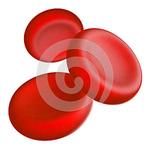 Blood cells