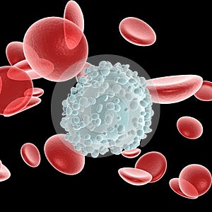 Blood cells and leukocyte