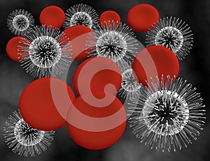 Blood cells and lymphocytes