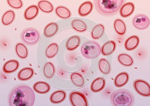 Blood Cells in Plasma - Vector Illustration