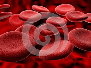 Blood cells photo