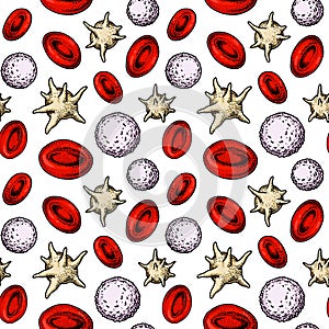 Blood cells seamless pattern. Hand drawn erythrocytes, leukocytes and platelet. Scientific biology illustration in sketch style