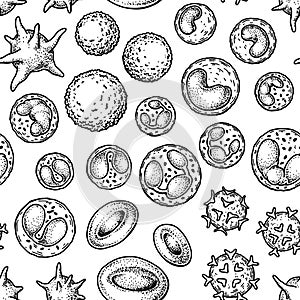 Blood cells seamless pattern. Hand drawn erythrocytes, leukocytes and platelet. Scientific biology illustration in sketch style