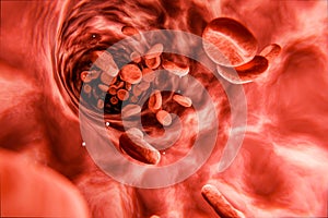 Blood cells in vein. Red blood cells circulating in blood vessels. medical health care. Vascular therapy. 3d illustration
