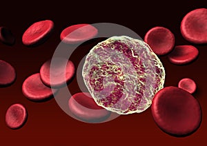 Blood cells with virus