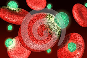 Blood cells with virus