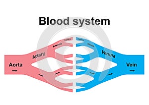 Blood circulation system