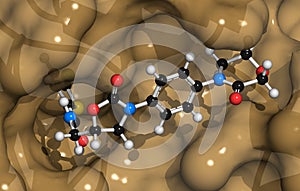 Blood coagulation factor Xa. Plays role in blood clotting and thrombosis