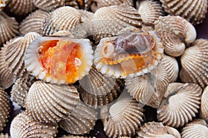 Blood Cockle or scallop with seafood sauce