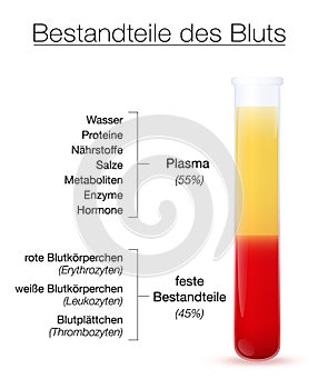 Blood Components German Names Plasma Red White Blood Cells