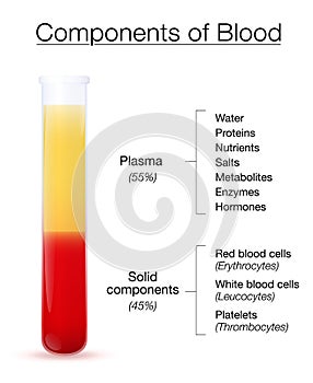 Blood Components Red White Blood Cells Plasma Chart