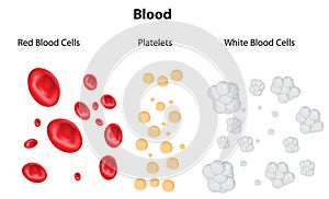 Blood Composition