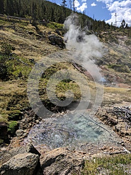 Blood Geyser with pool at Yellowstone National Park