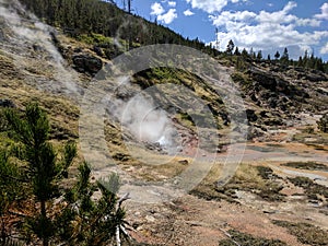 Blood Geyser at Yellowstone National Park