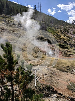 Blood Geyser at Yellowstone National Park