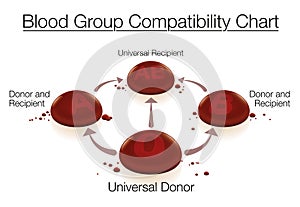 Blood Group Donation Compatibility Chart Universal Donor Recipient Transfusion photo
