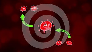 Blood Group A with Receivers and Accepting Blood Groups