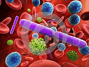 Blood infection with bacteria and virus cells photo