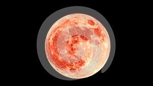 Blood Moon. Lunar eclipse. Super full moon. Super bright full moon with dark background. Madrid, Spain, Europe.
