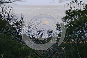 Blood moon rising over rural Australian landscape