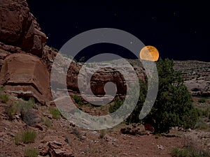 Blood Moon Rising over Valley of the Gods