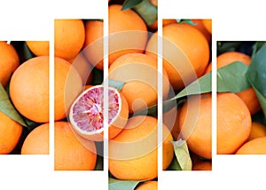 Blood oranges collage at seperate frames - canvas collage - sanguine orange