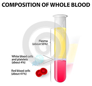 Blood plasma and formed elements in Test tube