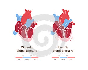Blood pressure infographic. Vector flat illustration. Health care hypertension chart. Heart organ anatomy with blood flow. Zone of