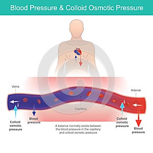 Blood Pressure & Osmotic Pressure.