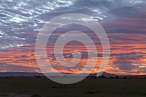 Blood red  Sunrise Sky over Masai Mara Plains ,Kenya