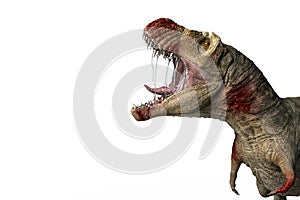 Blood rex in a white backgrond photo