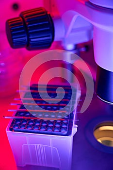 Blood samples lying on cell culture surface, enzyme-linked immunosorbent assay