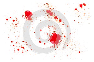 Blood splatters isolated on white. Clipping path. Set