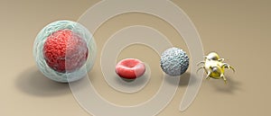 Blood stem cell is an immature cell that can develop into all types of blood cells: white blood cells, red blood cells, platelets