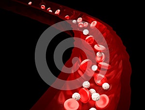 Blood Stream - Red and White Blood Cells Flowing Through Vein - isolated on black