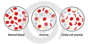 Blood structure concept