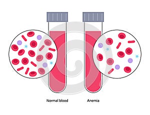 Blood structure concept