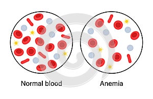 Blood structure concept