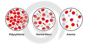 Blood structure concept