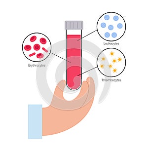 Blood structure concept