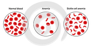 Blood structure concept photo