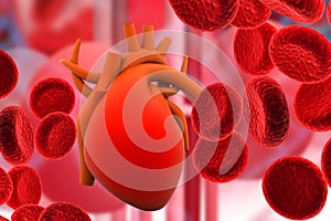 Blood system with a human heart