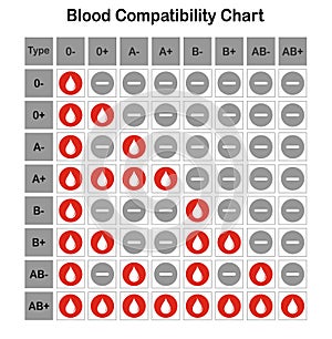 Blood type chart. Donor blood vector, illustration